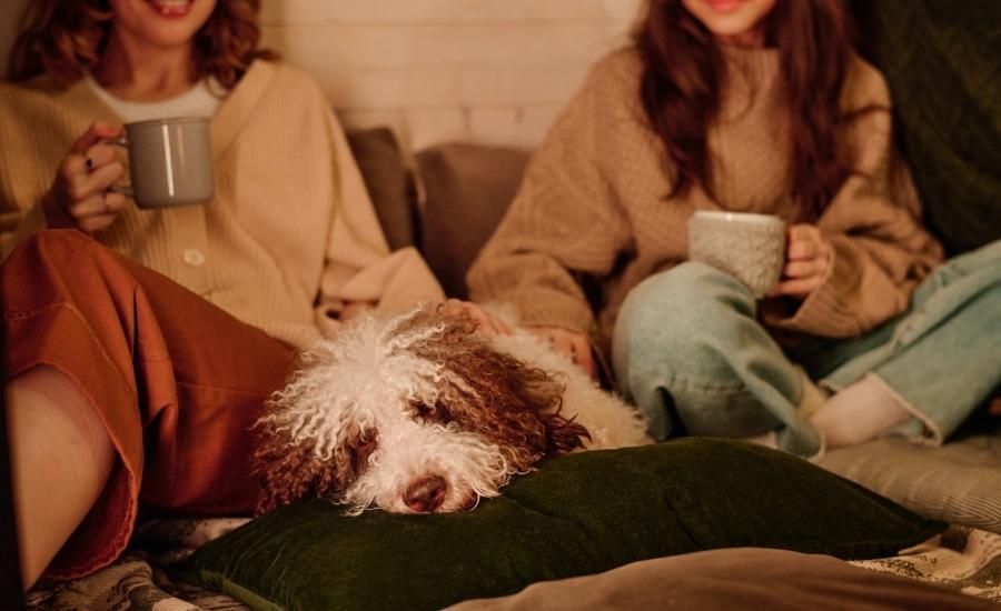 20 things we love about february