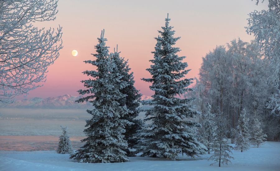 blog 900x550 (68).jpg