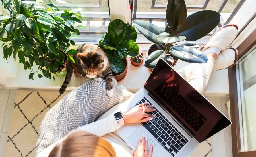 freelancer working from home