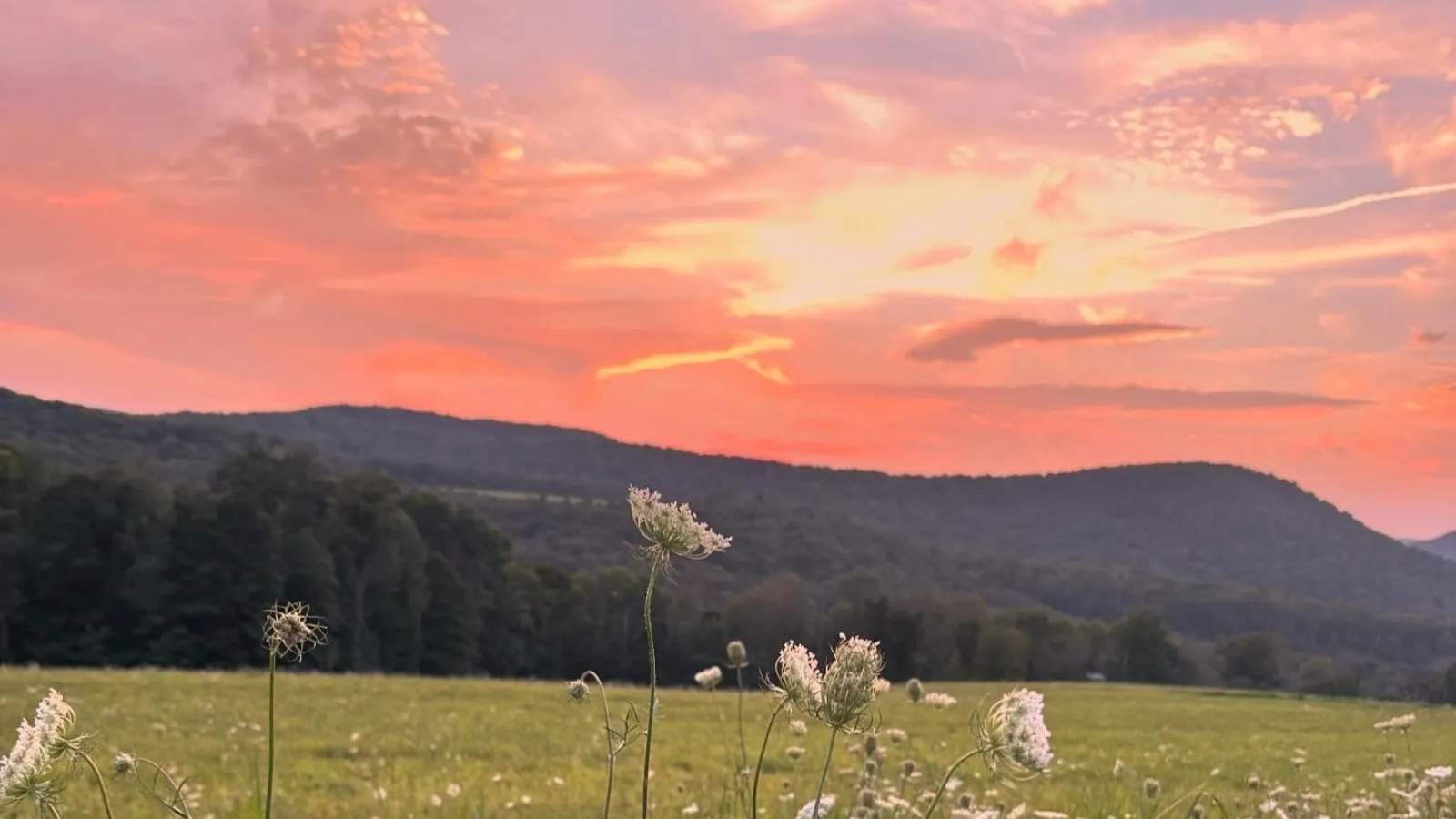 Nine Things Worth Doing Before Summer Officially Ends
