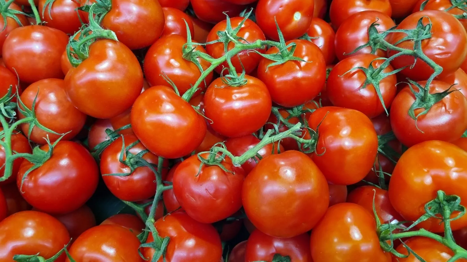 Peak Tomato Season: Five Dinners That Take Under 20 Minutes