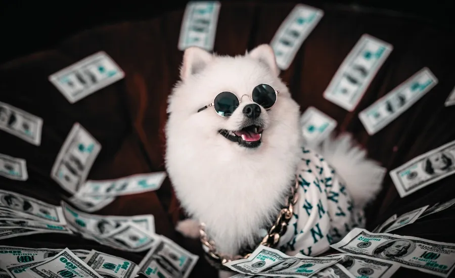 the anti-budget money management