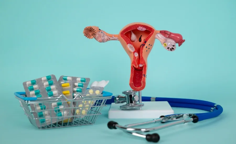 the fight for reproductive rights