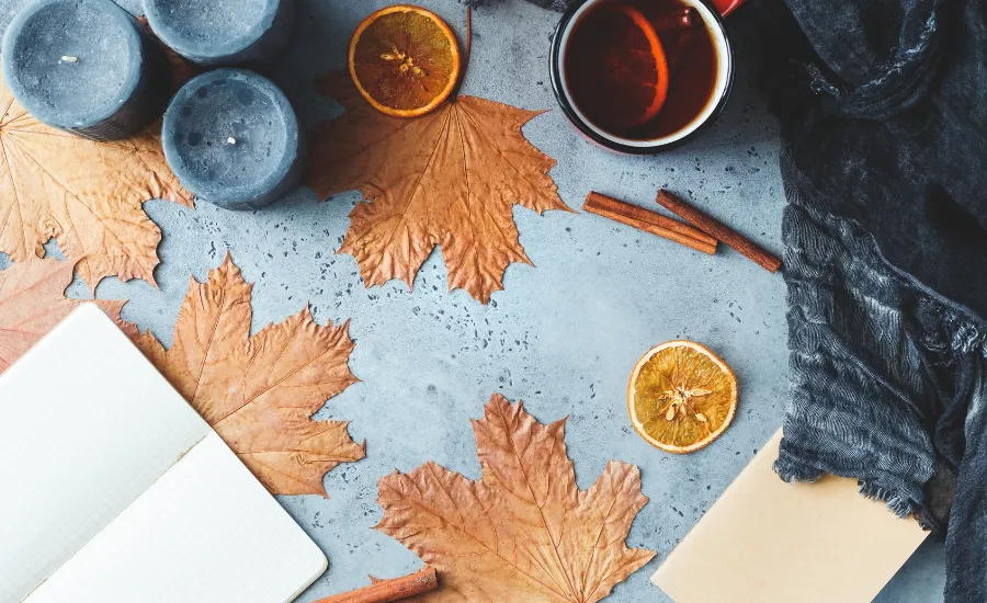 why we love november