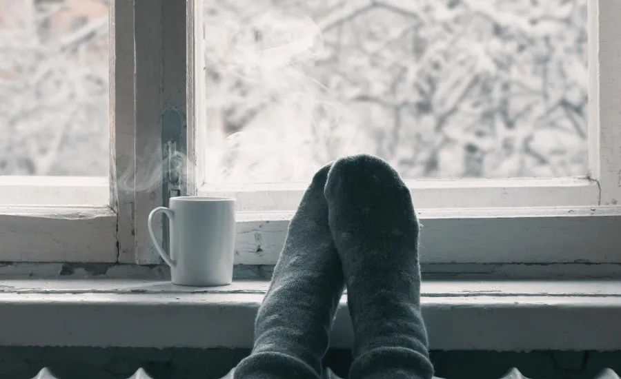 winter wellness guide